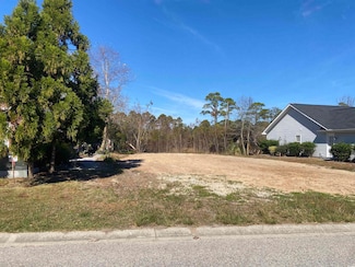 2485 Burning Tree Ln, Little River, SC 29566
