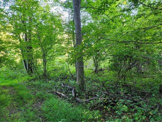 188 Old Stage Rd, Saugerties, NY 12477