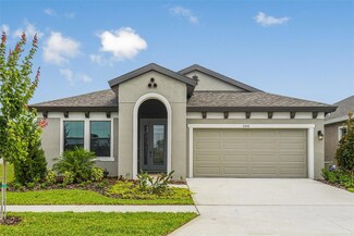 6147 Golden Nettle Dr, Apollo Beach, FL 33572