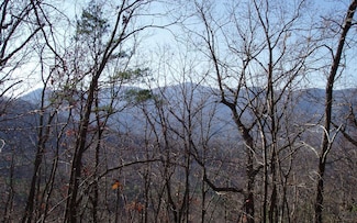 LOT 1 Caesars Gap Rd, Hiawassee, GA 30546