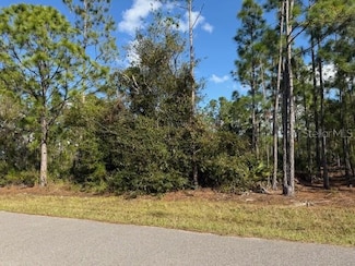 150 Algonquin St, Port Charlotte, FL 33954