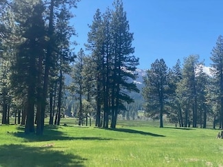 581 Redtail Loop Unit LOT 36 THE VISTAS AT, Clio, CA 96106