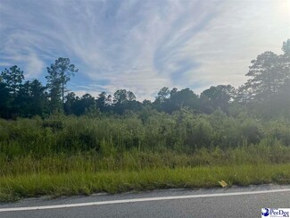 TBD Freddie Loop, Dillon, SC 29536
