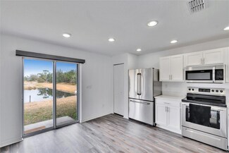 11206 Silver Fern Way, Riverview, FL 33569