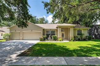 2803 Bent Leaf Dr, Valrico, FL 33594