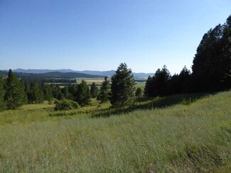 TBD Snowberry Lane Lot 6, Plummer, ID 83851