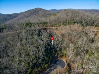 9999 May Fly Ln Unit 106, Mills River, NC 28742