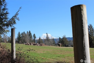 29615 Orting Kapowsin Hwy E, Graham, WA 98338