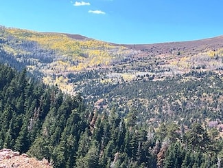 0 Braffits Creek Unit Lot 9 108781, Summit, UT 84721