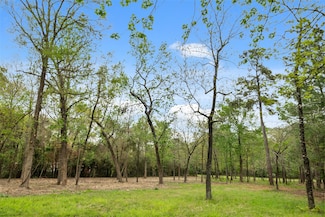 10048 Pine Springs Dr, Conroe, TX 77304