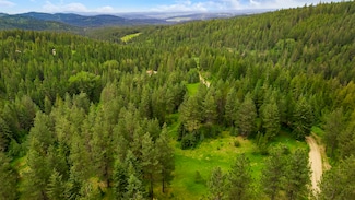23300 N Mt Spokane Park Dr, Mead, WA 99021