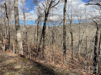 000 Birdymay Dr Unit 137, Tuckasegee, NC 28783