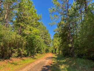 0 Cr 368 Unit 30580503, Zavalla, TX 75980