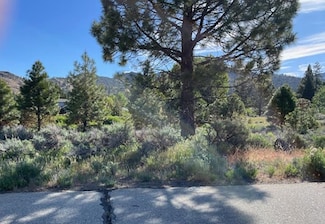 556 Longhorn Dr, Loyalton, CA 96103