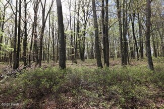 177 Lakeview Cir, Fawn Lake Forest, PA 18428