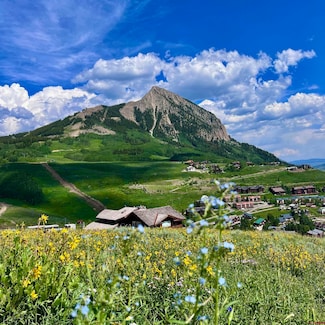 20 Buttercup Ln, Crested Butte, CO 81225