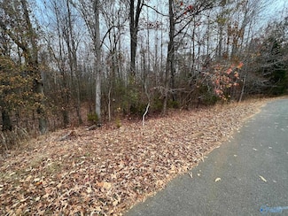 116 Comfort Dr, Hazel Green, AL 35750