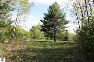 002 Tope Ct, Mancelona Township, MI 49659