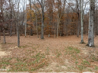 211 Rocky Branch Rd, Blountville, TN 37617