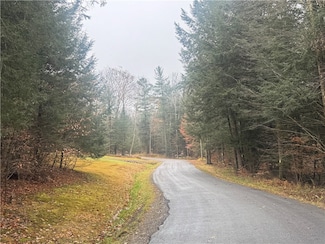 0 Thorpe Hill Rd, Masonville, NY 13838