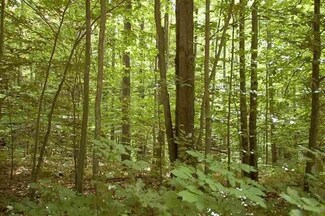 XXX Home Acres, Houghton Lake, MI 48629
