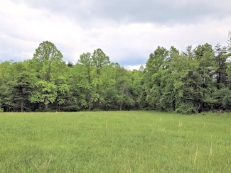 Lot 4 Franklin Pike SE, Floyd, VA 24091