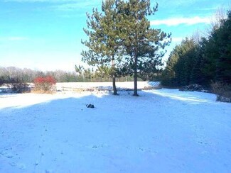 0 Keeling Rd, Posen, MI 49776