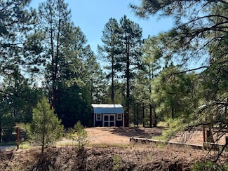 19 W Bobcat Dr, Ramah, NM 87321