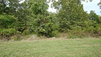 1191 Emory Creek Blvd, Marvel Cave Park, MO 65616