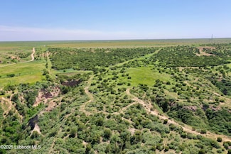 0 Tract 4 Romeo Rd Unit 202554930, Claude, TX 79019