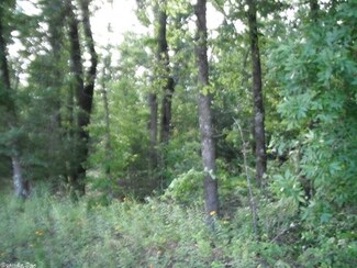 0000 E Mountain Rd, Bee Branch, AR 72013