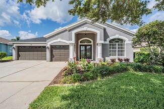 5141 Riva Ridge Dr, Wesley Chapel, FL 33544
