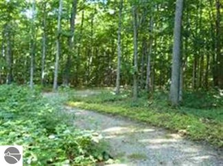 2.5Ac E Sugar Bay Ln, Cedar, MI 49621