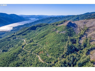 0 Usfs 81 Rd Unit 23359978, Cougar, WA 98616