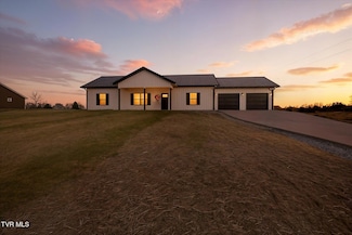 5930 Snapps Ferry Rd Unit Lot 3, Afton, TN 37616