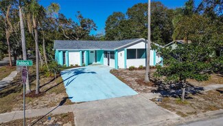 1316 Paddock Ct, Tarpon Springs, FL 34689