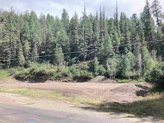 275 San Juan St Lot4, Pagosa Springs, CO 81147