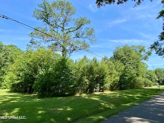 1396 Neal Rd, Picayune, MS 39466