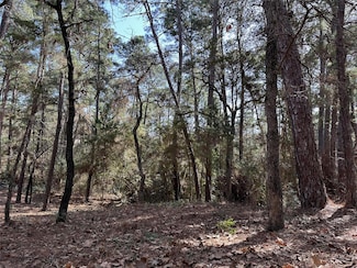 TBD Kamakoa Ln, Bastrop, TX 78602