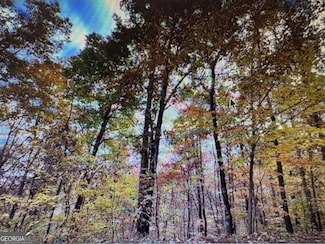 6 Morgan Ridge Ct, Young Harris, GA 30582