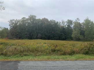 0 Krum Road Tr 77 Unit H6205094, Fallsburg, NY 12733