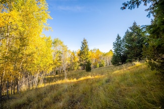 Nhn Lone Pine Gulch Rd, Butte, MT 59750