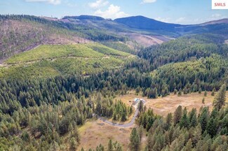 5357 Tyson Creek Rd, Santa, ID 83866