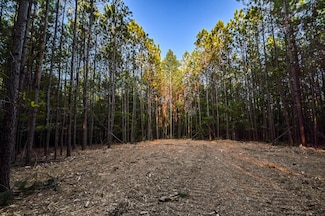 0 Brush Creek Rd Unit RTC3001894, Hohenwald, TN 38462