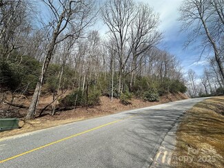 ? Connestee Trail, Brevard, NC 28712