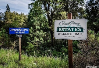 29-A Wildlife Trail, Fiddletown, CA 95629