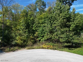 599 Brentwood Way, Wadsworth, OH 44281