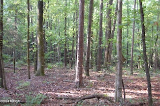 0002 Kyndal Ln, Forsyth, GA 31029