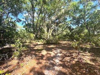 4140 S Kenvera Loop, Inverness, FL 34450