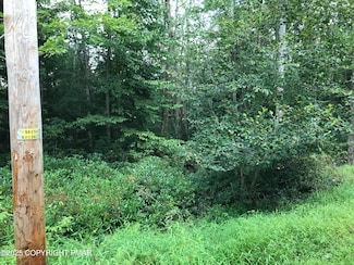 367 & 368 Sparrow Ln, Jim Thorpe, PA 18229